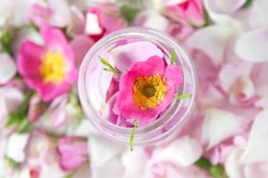 Throwback Scent Is Coach Poppy Blossom Still Worth Buying in 2026