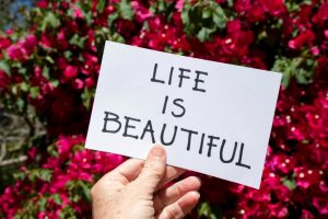 The Best Love, Don’t Be Shy Dupe We Tested the $15 Oil vs the $275 Original